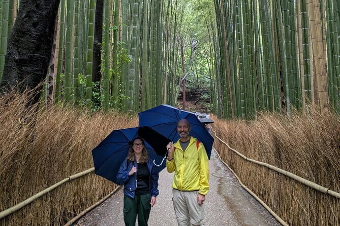 4 Hours Arashiyama and Arashiyama Monkey Park Tour - A Deep Dive into the Tour Experience
