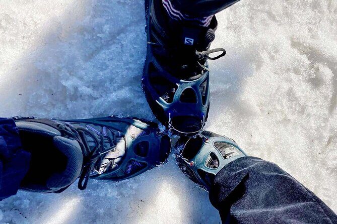 4 hours Best View of the Oslofjord Winter Edition - An In-Depth Look at the 4-Hour Winter Fjord Tour