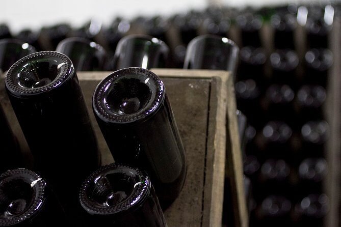 4 Hours Cricova Winery Tour with Tasting - Who Will Love This Tour?