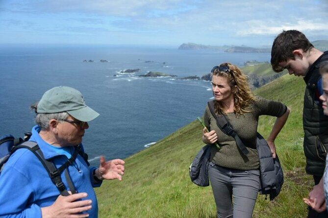 4 Hours Dingle Peninsula Private Tour - Final Thoughts