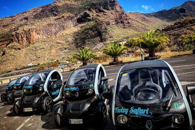 4 Hours Eco Safari Tour with Electric Car in Tenerife - Exploring Tenerife’s Hidden Charms in a 4-Hour Electric Safari