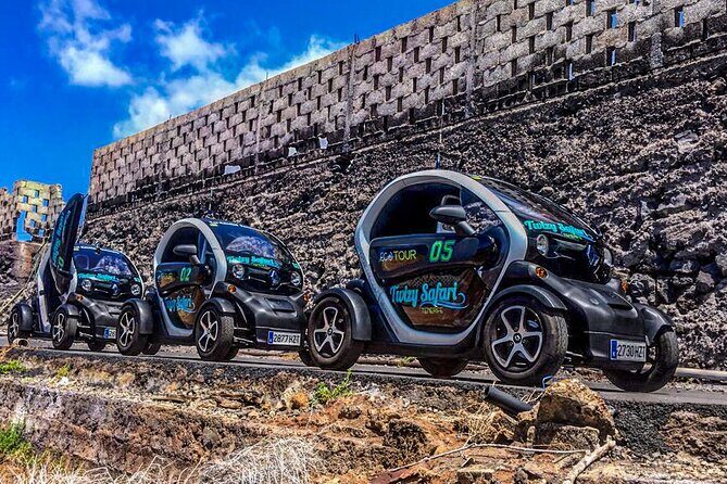 4 Hours Eco Safari Tour with Electric Car in Tenerife - Key Points