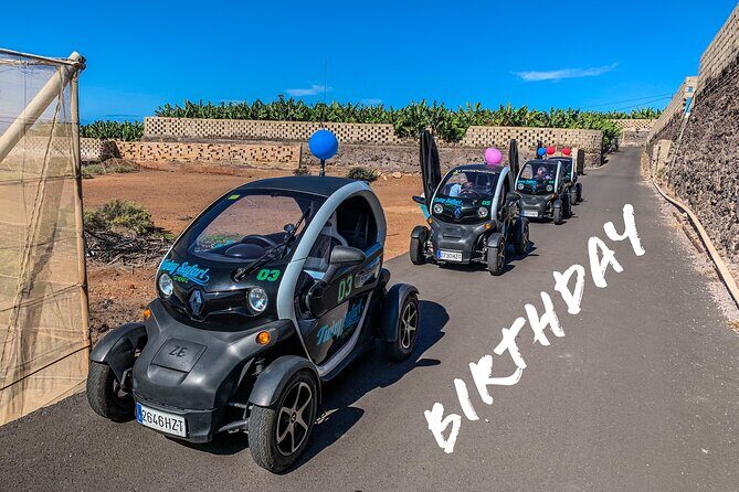 4 Hours Eco Safari Tour with Electric Car in Tenerife - Final Thoughts