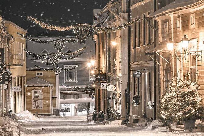 4 hours Helsinki and Porvoo Guided VIP Tour by Luxury Car - FAQ