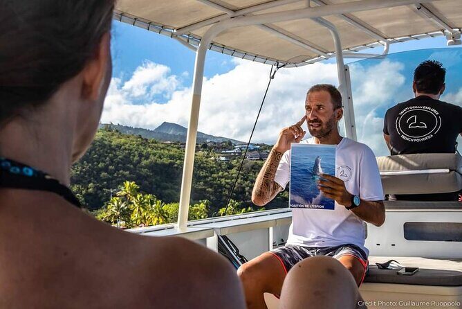 4 Hours of Humpback Whale Watching in Tahiti - Who Should Consider This Tour?