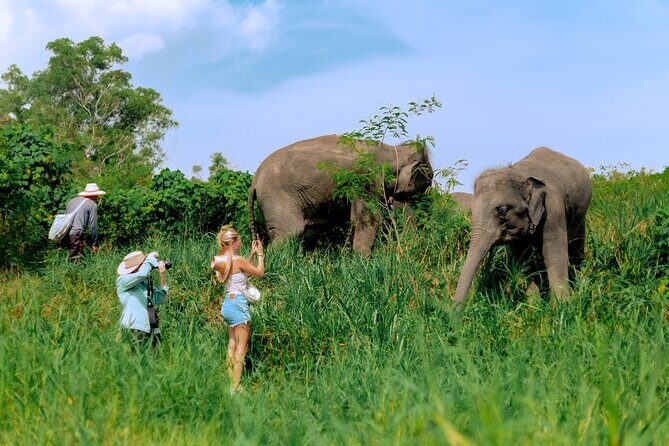 4-Hours Phuket Ethical Elephant Sanctuary Tour with Lunch - The Itinerary in Detail