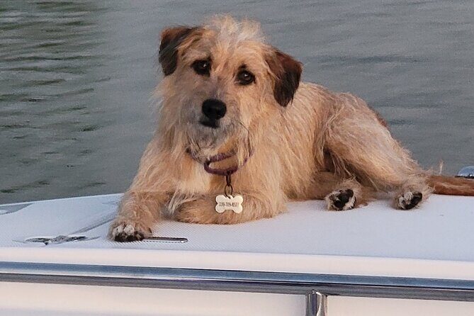 4 hours Private Eco Boat Tour Wildlife and Nature around islands - An In-Depth Look at the Experience