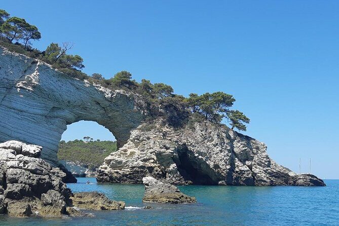 4 Hours Private Guided Boat Tour in Vieste - Analyzing the Experience and Value