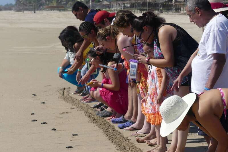 *4 Hours Shore Excursion With Cruise Ship Terminal Pick Up. - Key Points