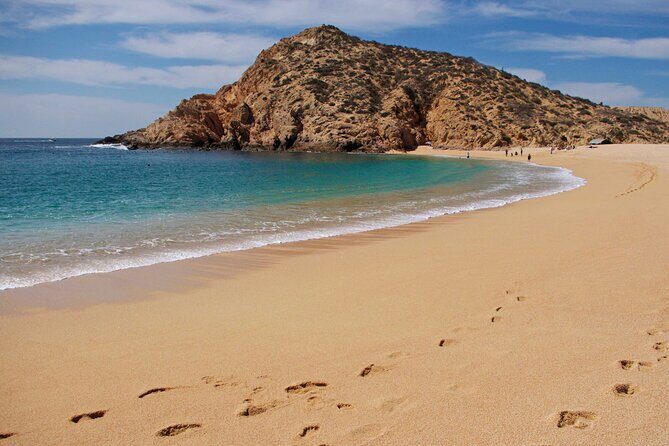 4 Hours Snorkeling Tour in Cabo San Lucas and Corridor - Key Points