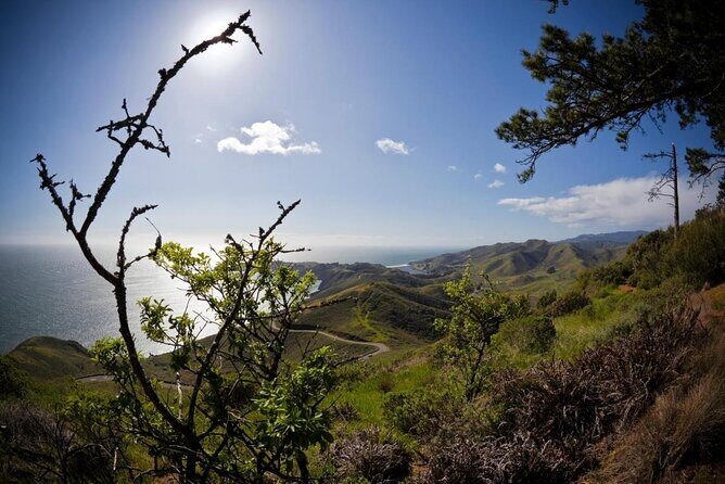 4 Hours Tour Beyond the Golden Gate Bridge Marin Headlands and Sausalito - A Closer Look at the Itinerary and What to Expect