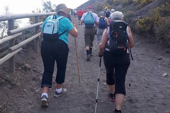 4 Hours Vesuvius Volcano Tour - Who Will Love This Tour?