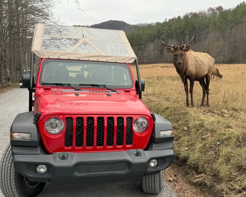 4 HR. Guided Safari Jeep Eco Waterfall Adventure - 4 HR. Guided Safari Jeep Eco Waterfall Adventure — A Vibrant Look at the Smokies