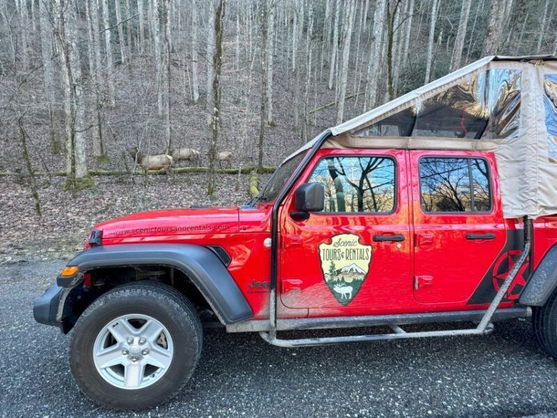 4 HR. Guided Safari Jeep Eco Waterfall Adventure - Authentic, Fun, and Educational — Who Should Book This?
