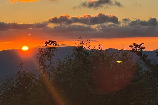 4 Hr Maggie Valley Slingshot Automatic Rental - The Sum Up