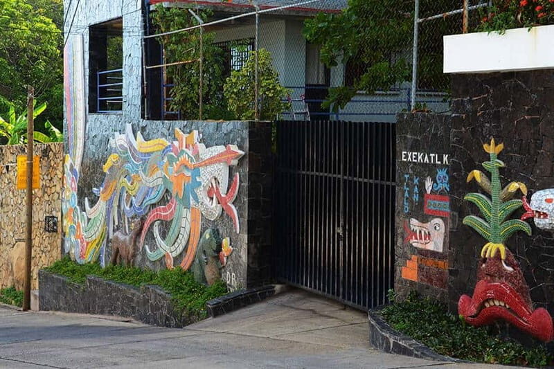 .4-Hrs Cruise or Hotels City Tour Experience w/High Divers - What to Expect from the Tour