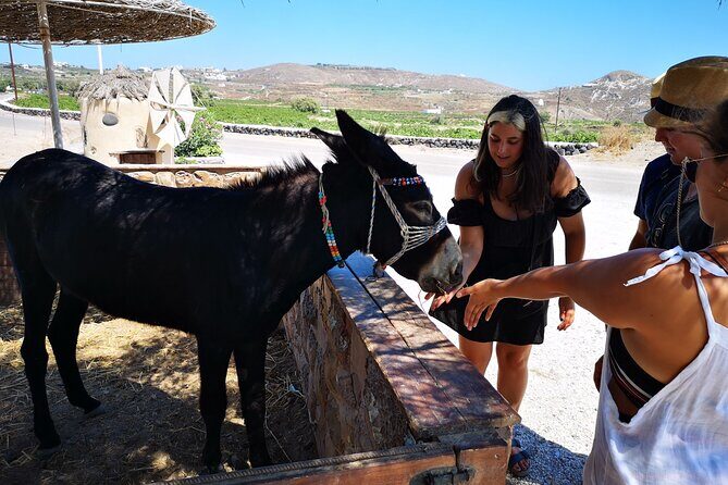 4 hrs PRIVATE island tour and photos, Oia and Blue domes - Pyrgos: The Old Capital