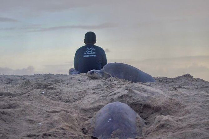 4 in 1 Tour - Mazunte, Cacao Factory, La Ventanilla National Park & Turtle Spawn - An In-Depth Look at the Itinerary