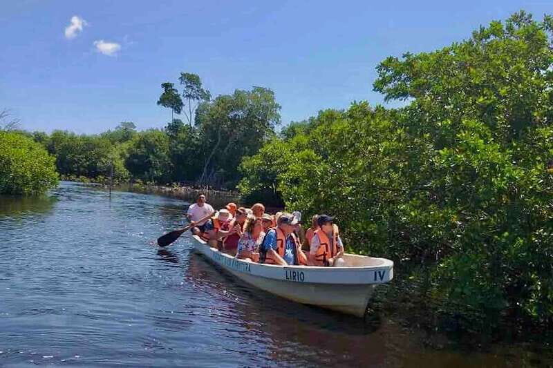 4-in-1 Tour - Mazunte, Cacao Factory & Turtle Spawn/Release - An Authentic Day in Oaxaca: A Closer Look at the 4-in-1 Tour