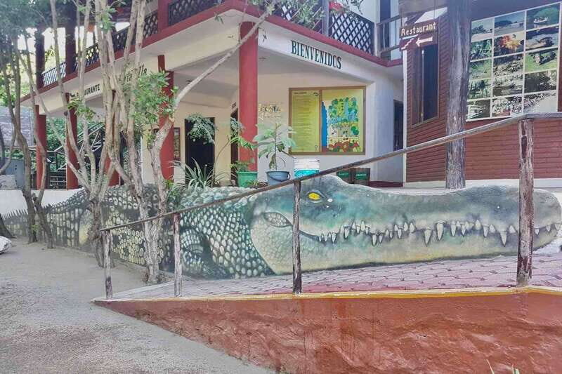 4-in-1 Tour - Mazunte, Cacao Factory & Turtle Spawn/Release - Authenticity and Family-Focused Experiences