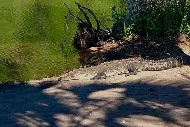 4-in-1 Tour - Mazunte,Cacao Factory, La Ventanilla & Turtle Spawn - La Ventanilla: Nature’s Sanctuary