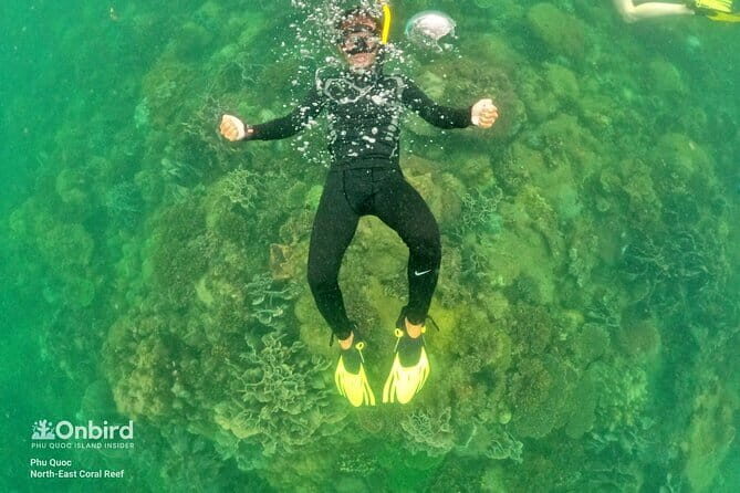4 Islands & 2 Reefs - Discovery Snorkeling & Relaxing (MAX 12) - The Value of the Experience