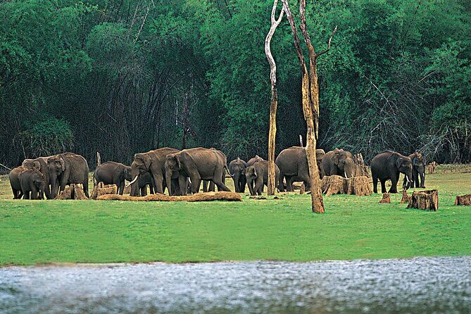 4 Nights 5 Days Kerala Tour Package - Who Will Love This Tour?