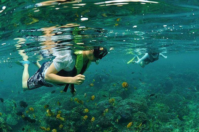 4 Point Snorkeling Nusa Penida from Bali - What Makes This Tour Stand Out?