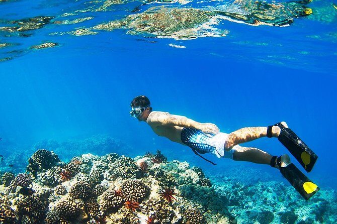 4 Point Snorkeling Nusa Penida from Bali - The Sum Up