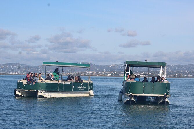 4 Stops | 3 Islands & Ria Formosa Natural Park - From Faro - Guides and Group Size