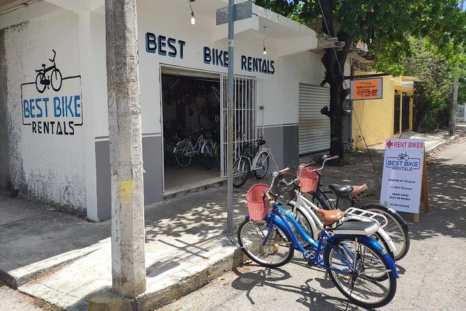 4 to 7 Day Beach Cruiser Rental (Up to 7 Days, includes Ulock) - Walking Through the Review Highlights