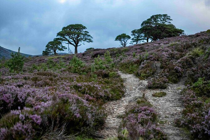 4,000ft Mountain Hike in the Scottish Highlands - Key Points