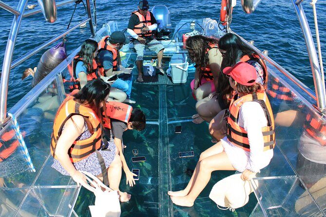 45 Minute Transparent Boat Ride to the Arch of Cabo San Lucas - FAQ