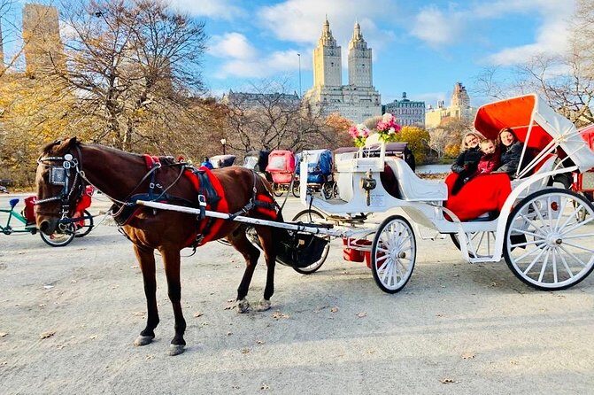 45 Minute VIP Central Park Carriage Ride - Who Is This Tour Best For?