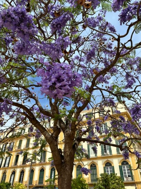45 minutes flamenco dance class for family in Málaga - A Family-Friendly Flamenco Experience in Málaga
