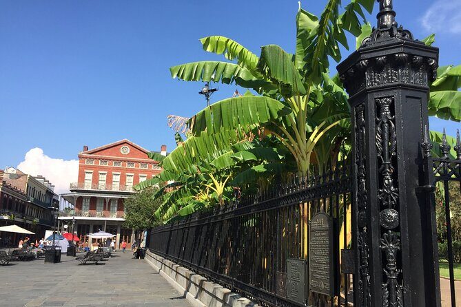 45 minutes in Jackson Square - Reviews: Authentic Insights from Past Participants