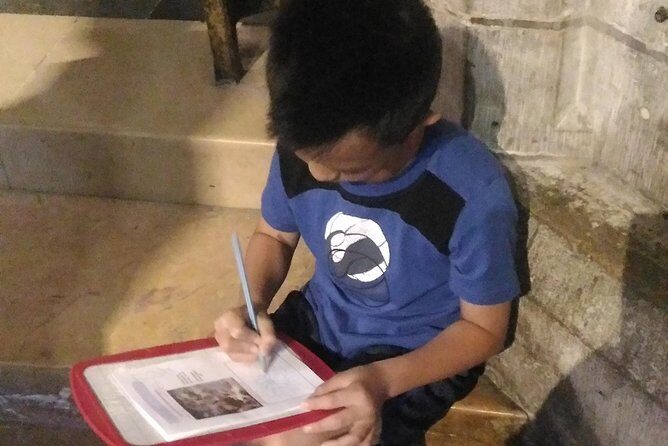 45m Notre Dame tour - fast line entrance - Key Points