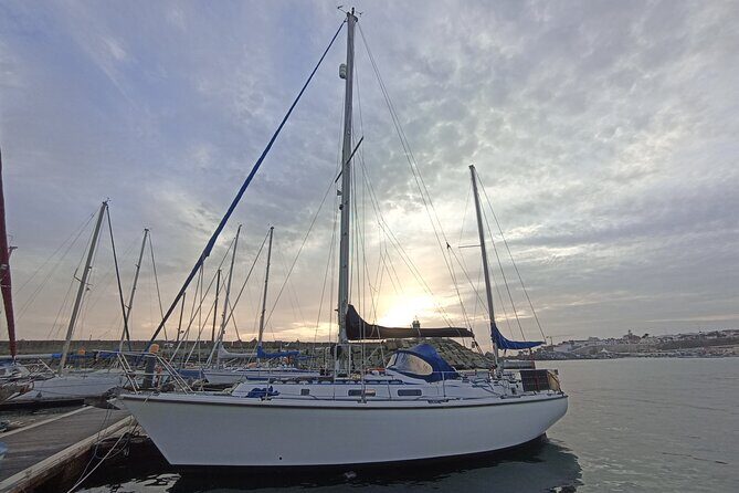 4h Exclusive Sail in Lisbon: Your Private Escape - Authentic Insights from Reviews