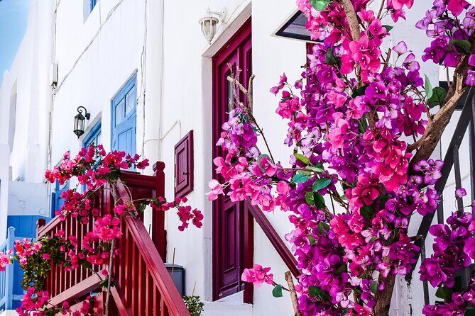 4Hours Mykonos Adventure Walk in Town & Minivan Countryside Tour - FAQs