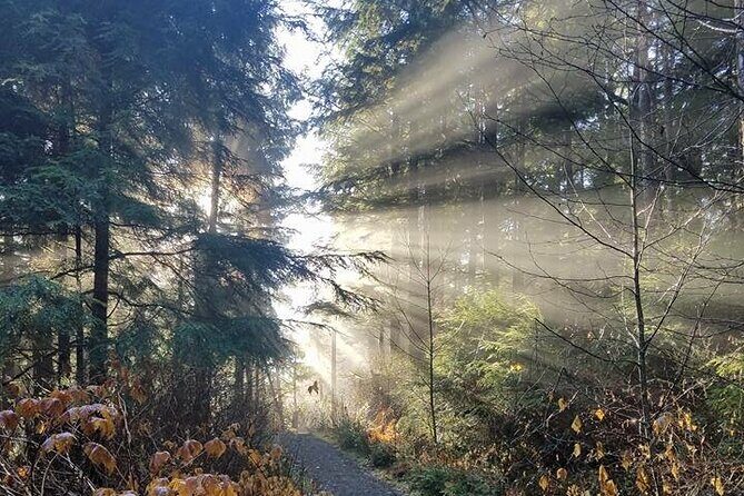 4hr Custom Private Tour of Ketchikan (14 People) Wildlife + More - A Practical Guide to the 4-Hour Private Tour of Ketchikan: Wildlife, Culture, and Local Flavor