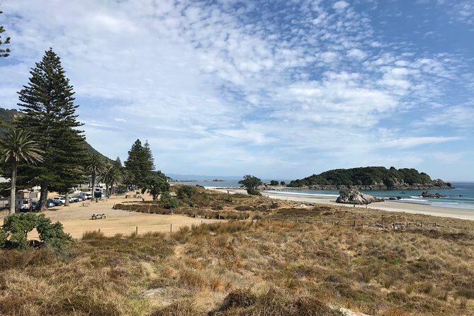4hr Tauranga Scenic History and Tasting Tour FREE Kiwifruit Tasting - A Closer Look at the Tauranga Experience