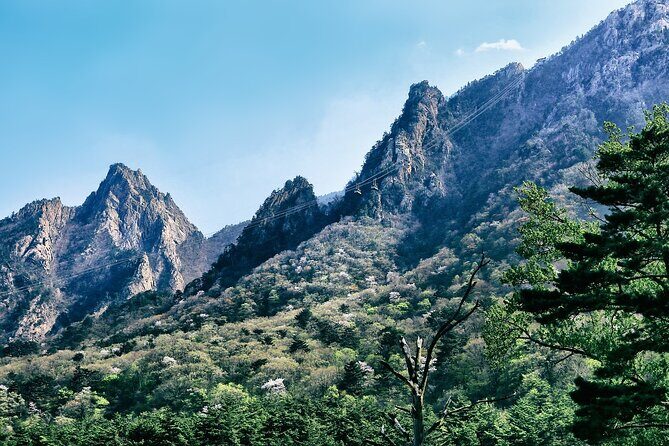 4N Seoul & Nami Island & Sokcho (Mt. Seorak) with 4 star hotel - An In-Depth Look at the 4-Night Korea Experience