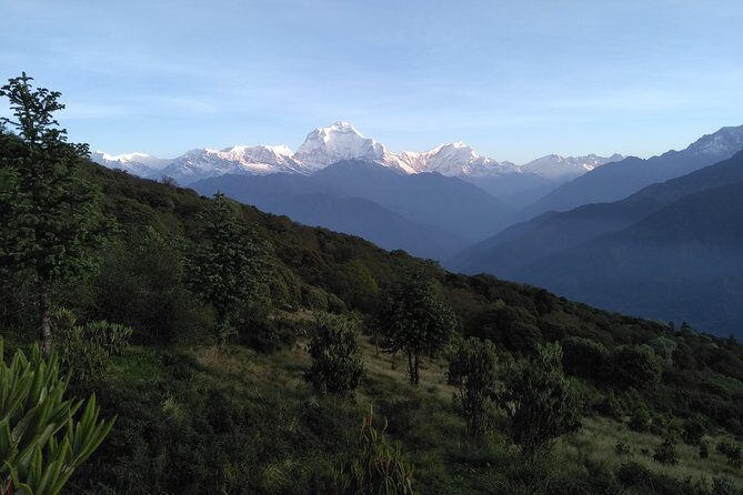 4Nights 5Days PoonHill Trek - Who This Trek Is Perfect For