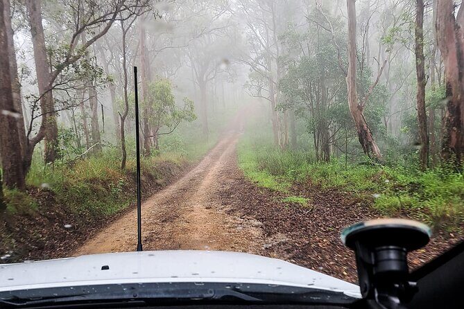 4WD Guided Day Trip In D'Aguilar National Park - Authentic Experiences from Past Participants