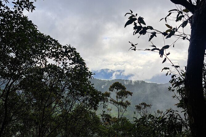 4WD Guided Day Trip In D'Aguilar National Park - The Sum Up: Who Will Love This Tour?
