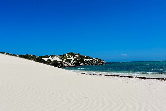 4WD Pinnacles Desert Turquoise Coast and Sand Boarding Adventure - FAQs