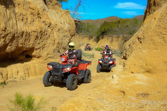 4x4 ATV Adventure with Tequila tasting and Mexican buffet lunch - FAQ: Your Practical Questions Answered