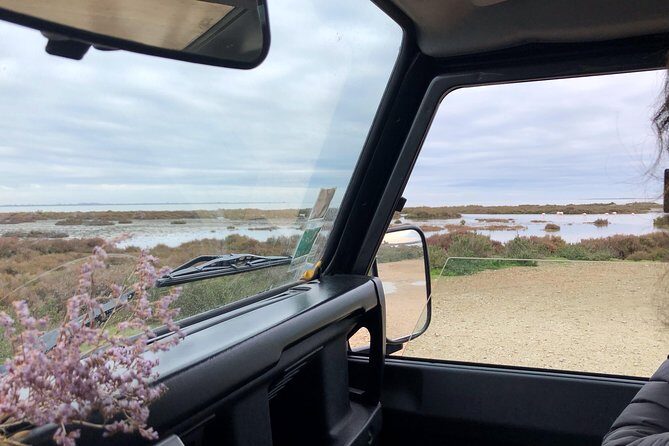 4x4 Camargue Safari 4h - Departure from Arles - What Travelers Say
