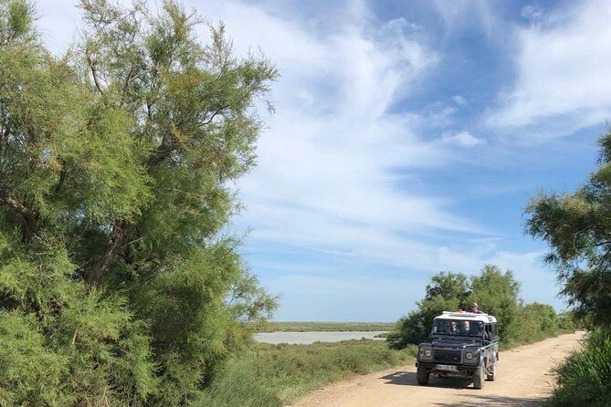 4x4 Camargue Safari 4h - Departure from Arles - Who This Tour Is Perfect For