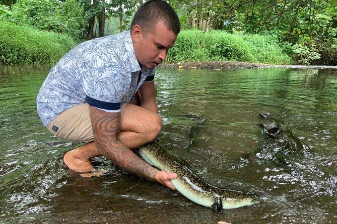 4x4 Moorea Safari Tours : Private tours - Key Points